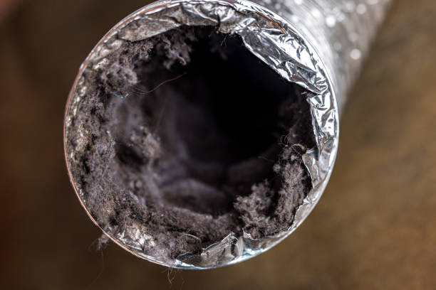 Best Dryer Vent Cleaning Services  in Columbia, TN