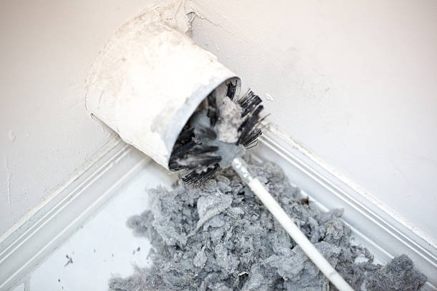 Best HVAC System Cleaning  in Columbia, TN